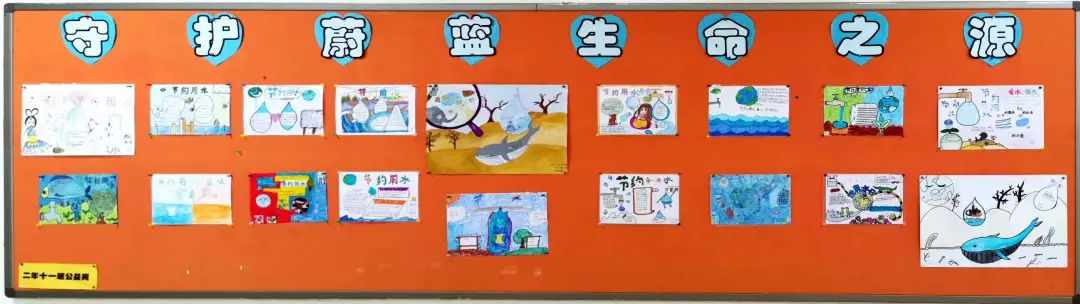 开发区国际学校2017,开发区国际学校