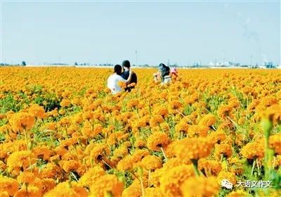 写作小能手作文400字,写作小能手四年级作文五百字