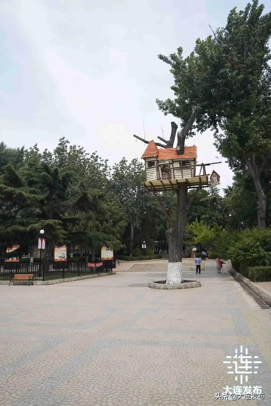 大连五一公园怎么样,大连新建三大主题公园