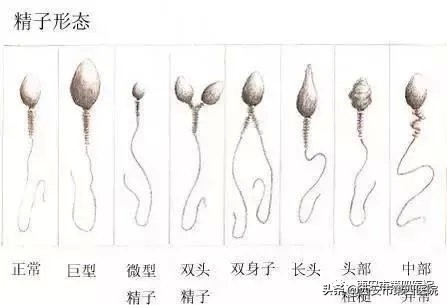 拼颜值拼能力的年代,拼颜值的时代