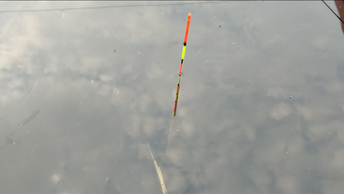 新手野钓最简单调漂方法一学就会,新手野钓怎么调漂最准确又快