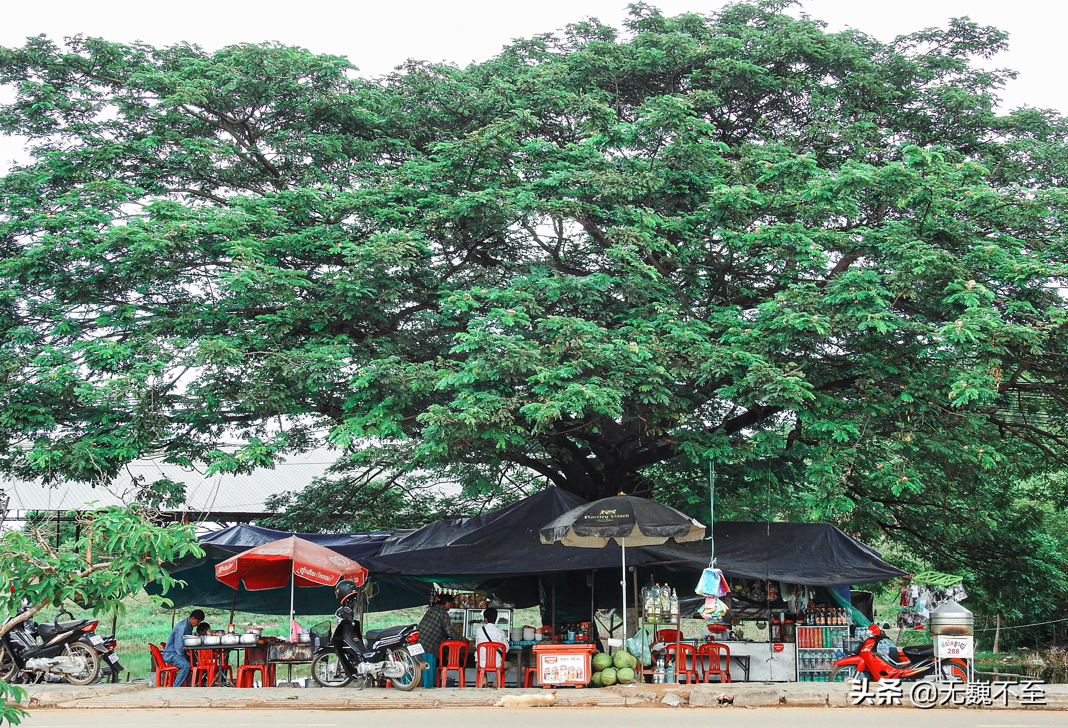 一分钟了解柬埔寨吴哥,柬埔寨神秘的吴哥王朝