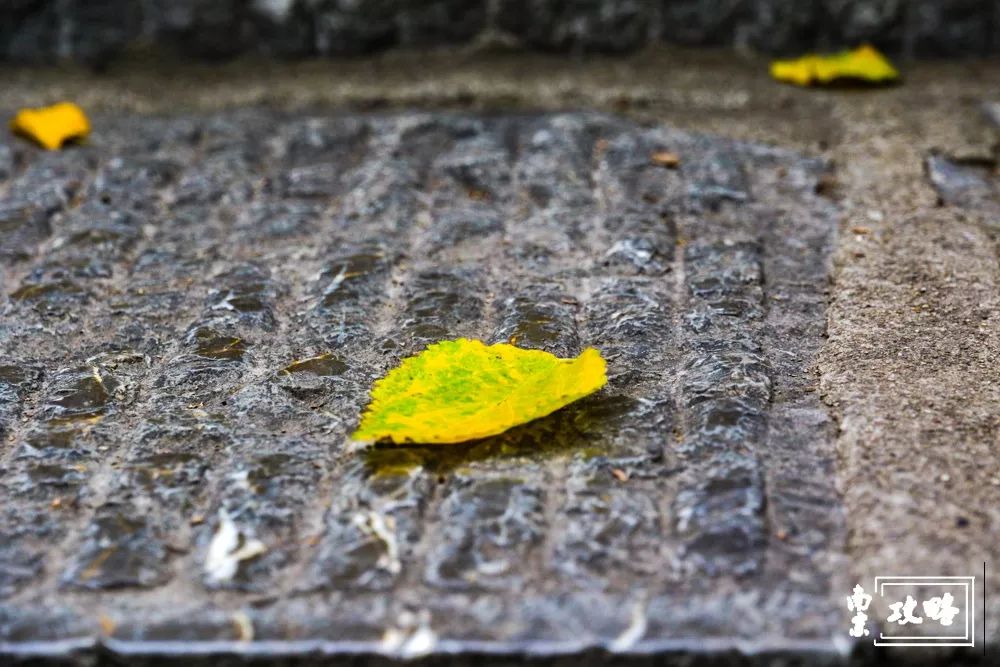 燕子矶公园值得去吗,燕子矶公园的介绍