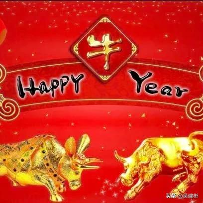 闵生裕先生辛丑说牛