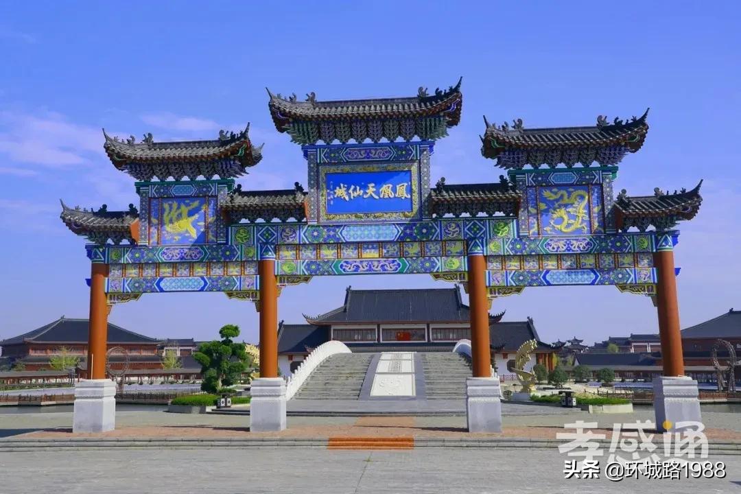 未来可期！向你展现不一样的毛陈