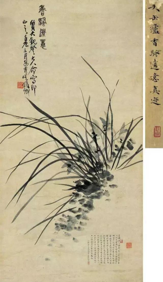 最漂亮的24尺写意兰花图片,最全历代名家兰花图看了还想再看