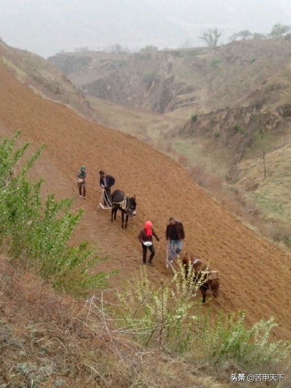 为我的家乡会宁点赞,甘肃会宁老家乡村记忆