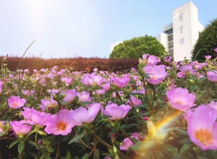 中国*产党共**创办的第一所高等学府，以城市名字命名，孙中山、毛*东泽**直接关怀！