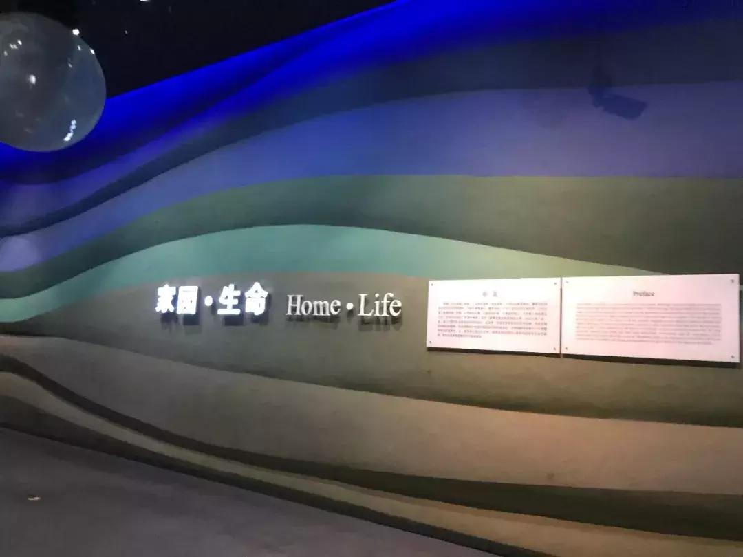 天津哪几个博物馆一定要去,必去天津各大博物馆