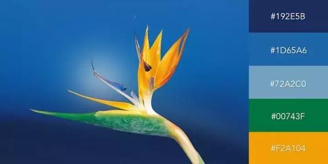 999张图片视频的卡点模板,服装设计素材收集与整理