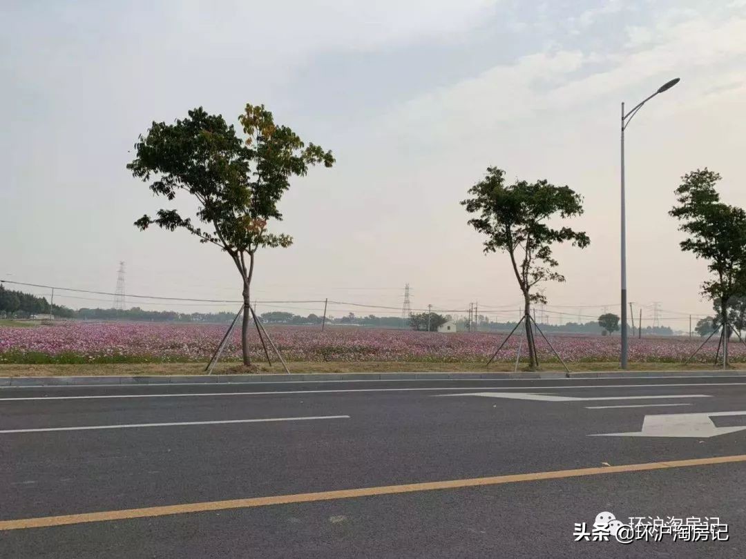 15号线到上海南站需要多久,15分钟到上海的高铁