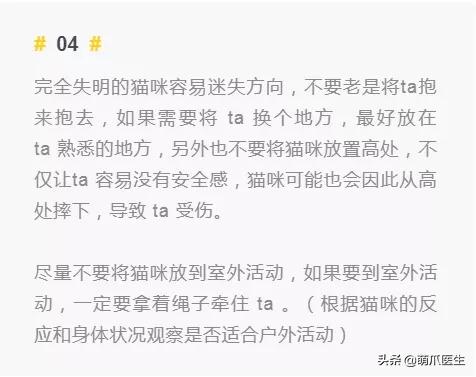 双目失明的猫咪好养吗,瞎了一只眼睛的猫能养吗