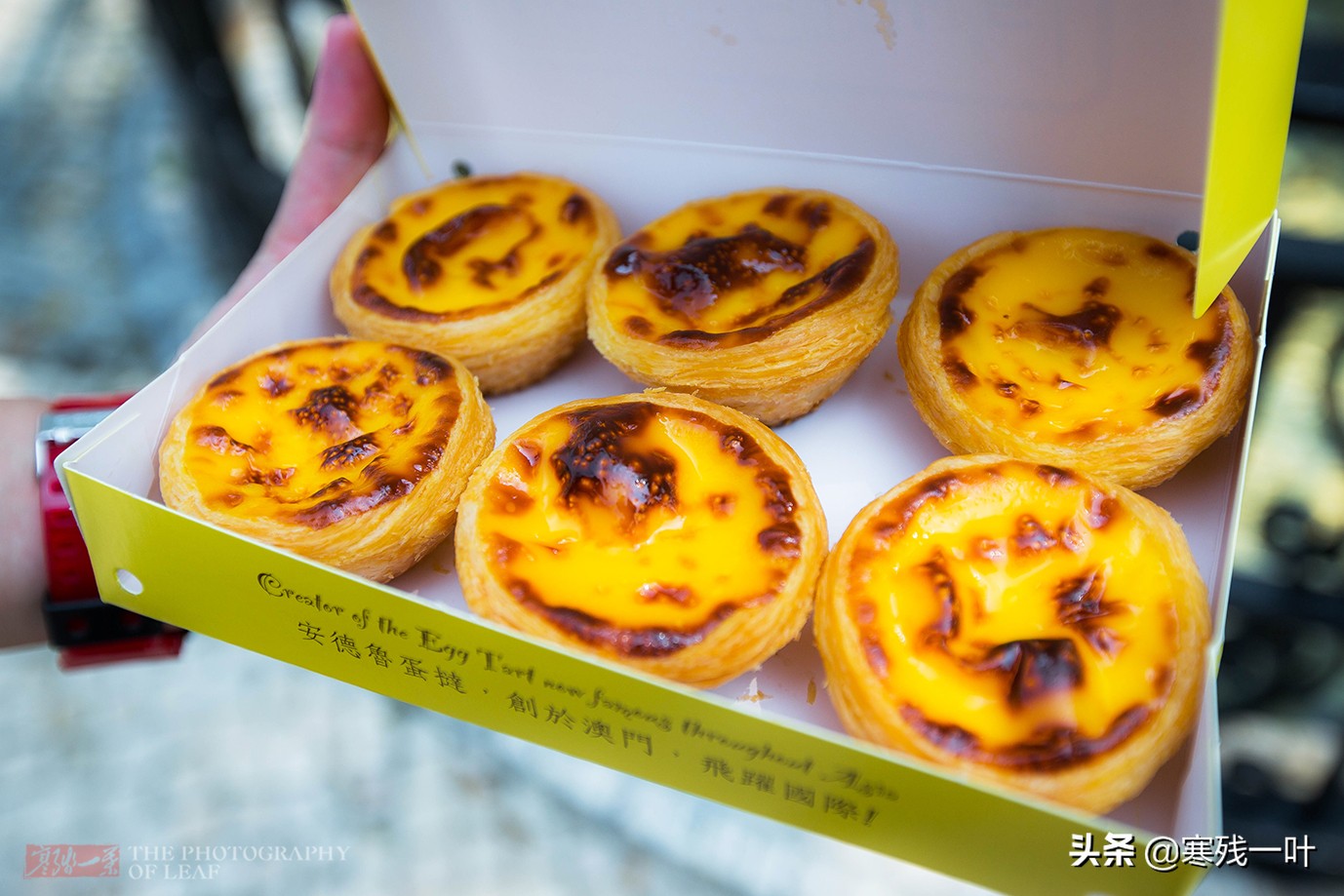 探索澳门美食,澳门最好吃蛋挞在哪里