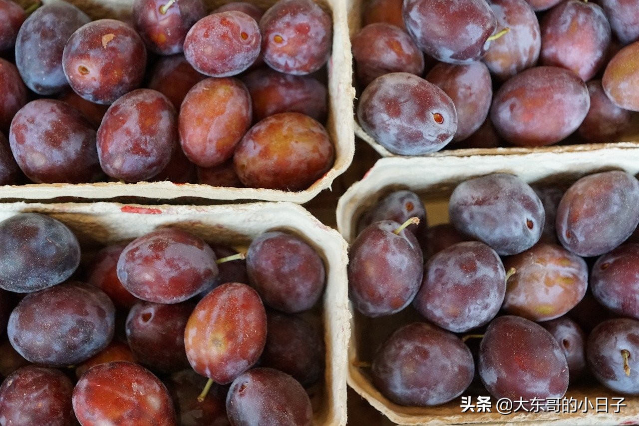 西梅李子怎么挑选,新鲜西梅和李子的区别