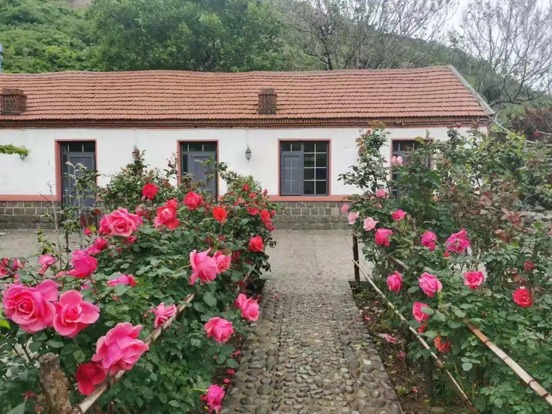 惊艳青岛的这些世外桃源快来打卡,青岛西海岸玩的地方推荐