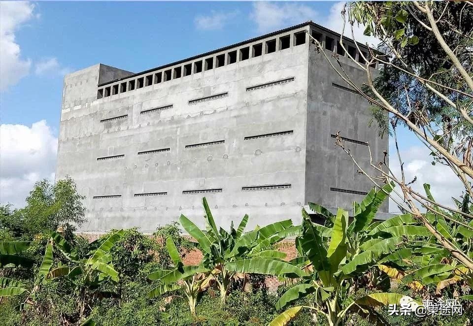 柬埔寨燕窝中国可以进口吗,柬埔寨燕窝能带多少回中国