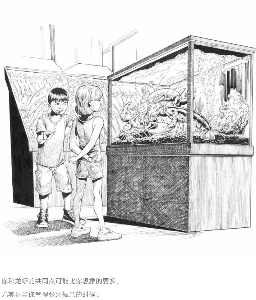 youtube播放超10亿,youtube播放量超过1亿