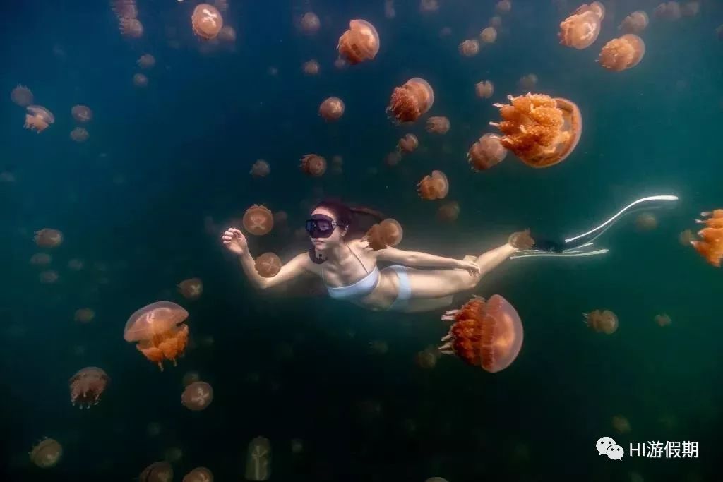 帕劳蓝洞潜水美人鱼,蓝色大海里的帕劳