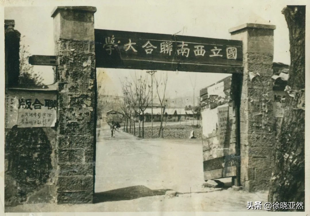 华罗庚算不算世界顶级数学家,华罗庚教出了哪些优秀的数学人才