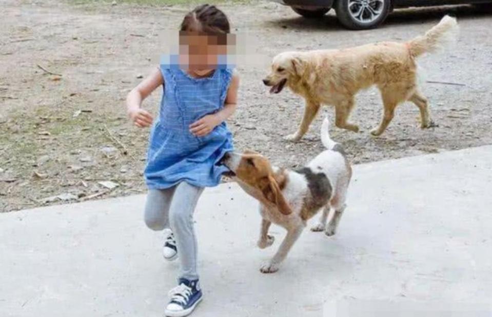 坑学生的陷阱视频,学生家长最容易被骗的六种骗局