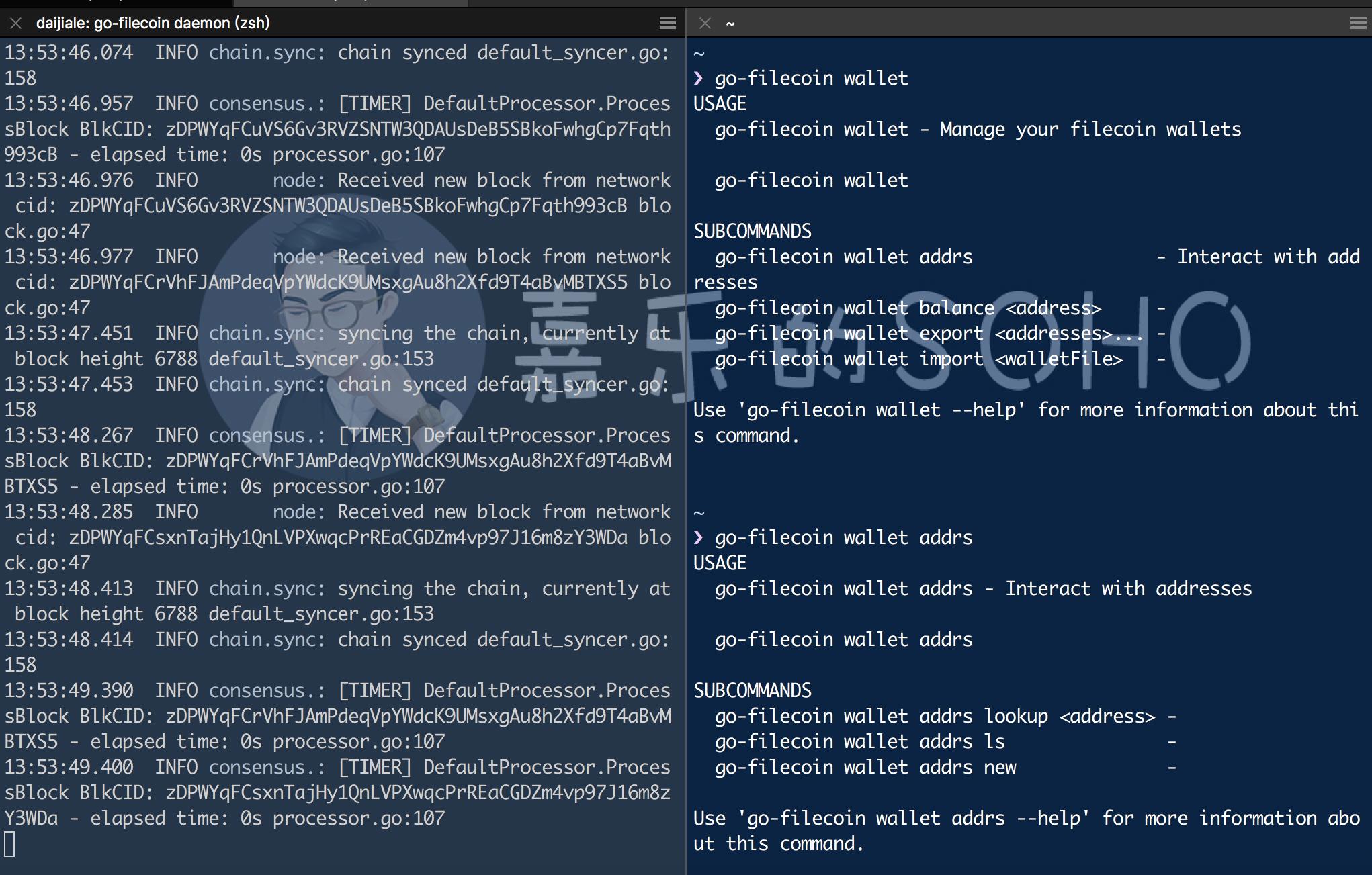 filecoin集群策略,filecoin集群节点示意图