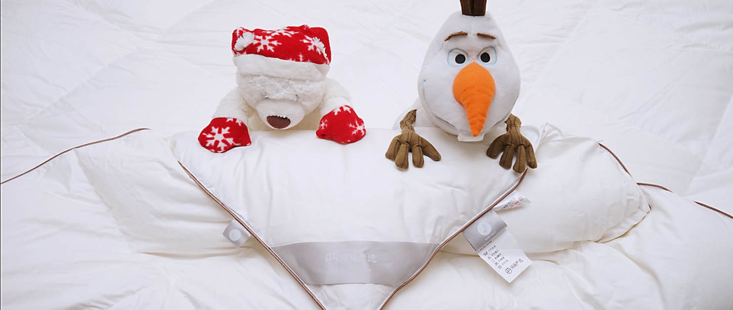 轻柔高档鹅绒被,高档轻柔鹅绒被