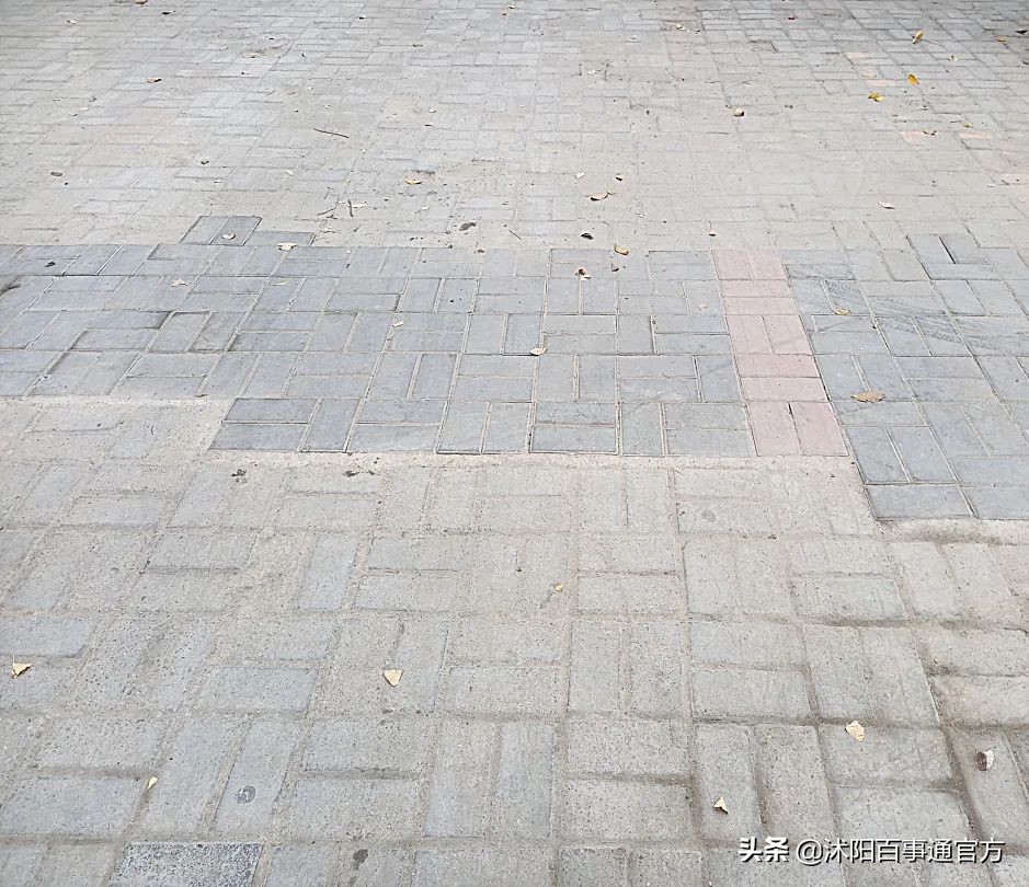 实验小学可怕案件,沭阳实验中学最近发生的事情