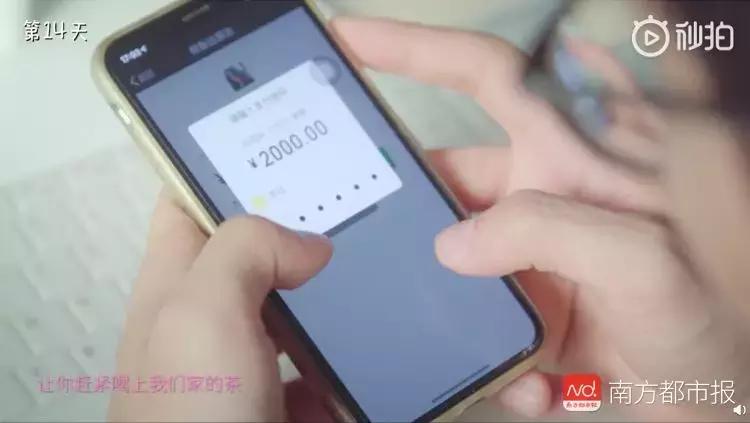 “卖茶小妹”套路视频，火到国外了！