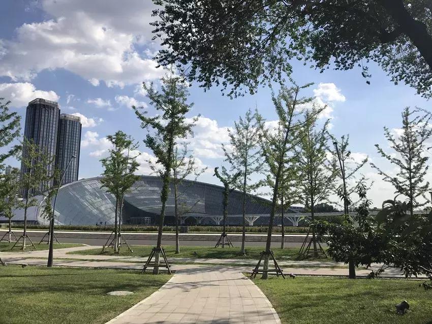 天津哪几个博物馆一定要去,必去天津各大博物馆