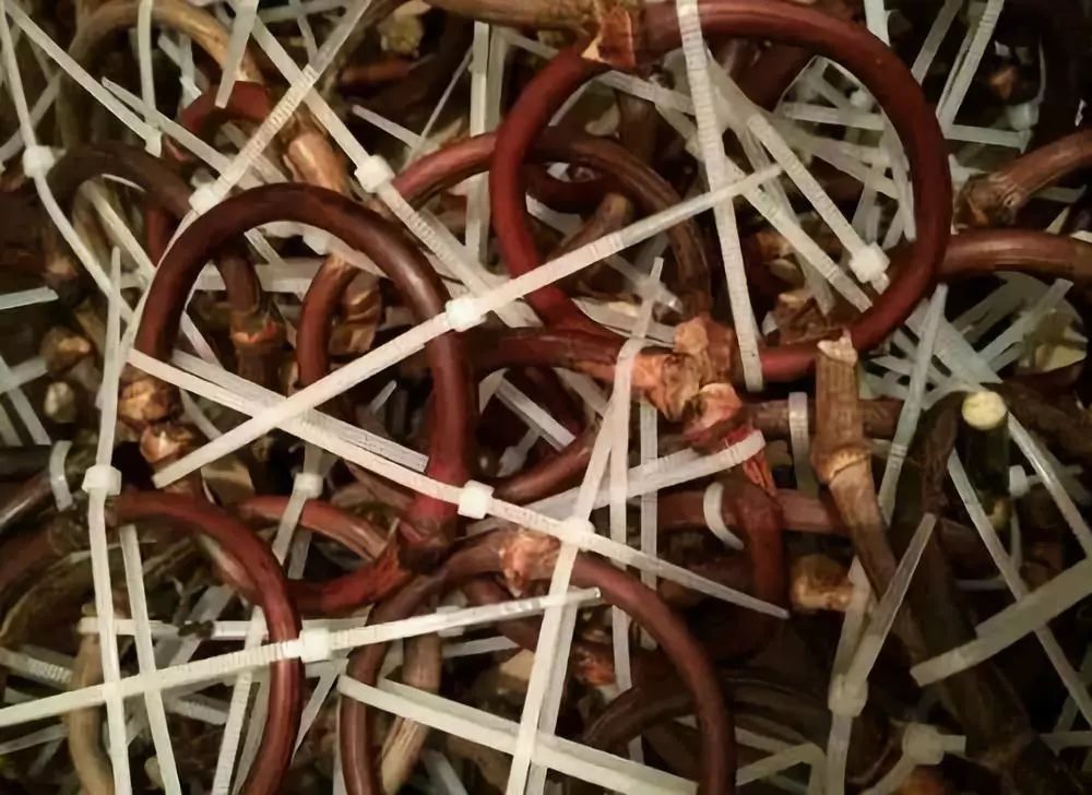 等疫情结束了我想回趟老家,等疫情结束了我想回安徽