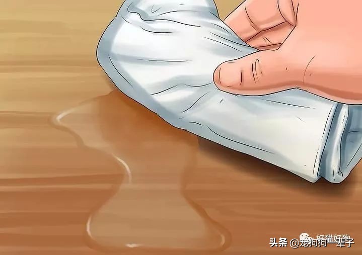 狗狗8个月还是乱拉乱尿怎么办,狗狗出了围栏就乱尿咋回事