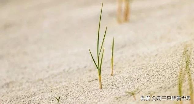 ​有些小事很小，坚持下来也能变成修行