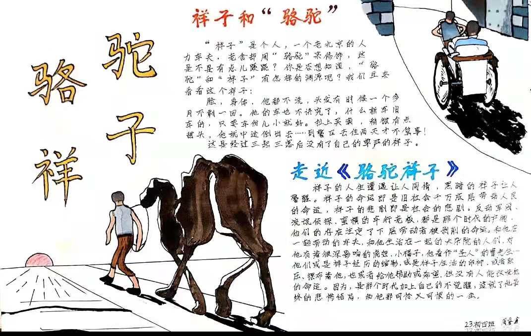 读名著学写作小学生,读古典名著品味人生主题小报