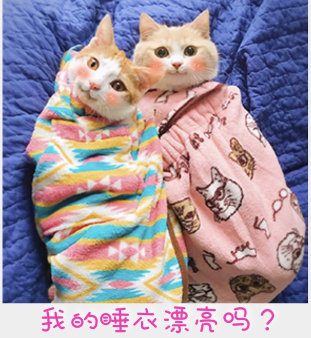 23年新款时髦睡衣,精致生活从一件睡衣开始