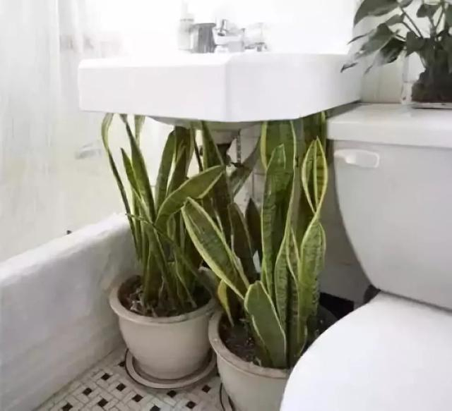 卫生间没窗户换气设计,卫生间没窗户怎么解决采光