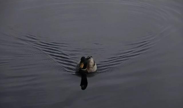 中国县城现状深入调查,中国县城现状原文