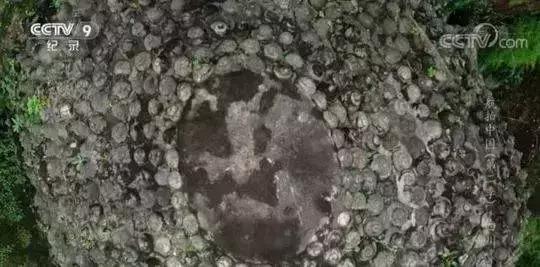 重庆至酉阳绿巨人动车何时开,兰州至陇西有绿巨人列车吗