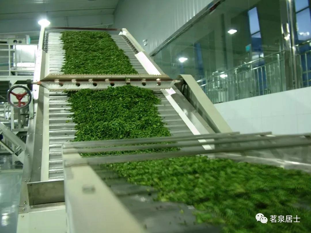 湖北茶叶第一名,湖北采花毛尖图片大全