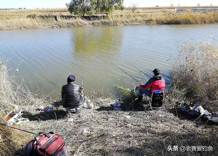 钓鱼秘诀分享给钓友们,总结一下这些年来的钓鱼心得
