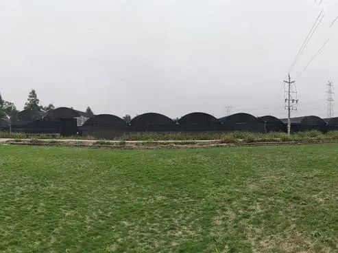 广东广州白云区神山镇7亩大棚农地出租，2.1万/年，无转让费