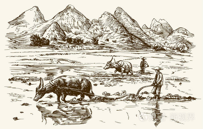 舌尖上的安全感悟,舌尖上的安全全册