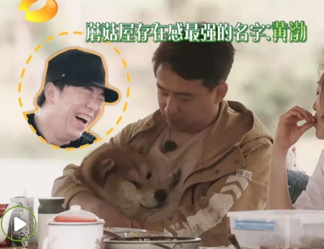 娱乐圈的中年男人是怎样展现幽默的?