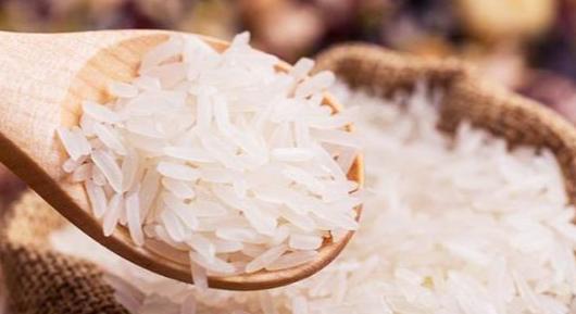 游四方全部视频,游四方四川