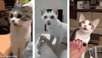 有多少人在怀念小时候的味道,有多少人还记得小时候的味道