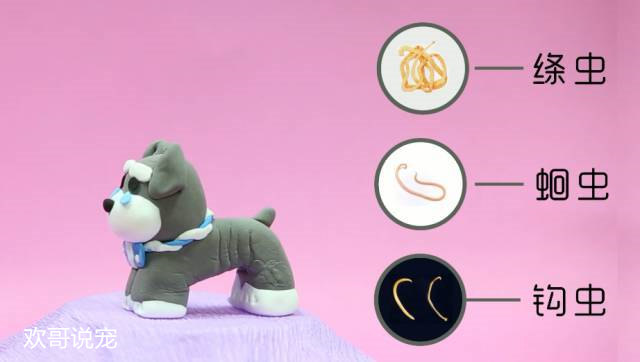 养宠经验狗狗受凉拉稀会自愈吗,幼犬狗拉稀怎么办快速解决