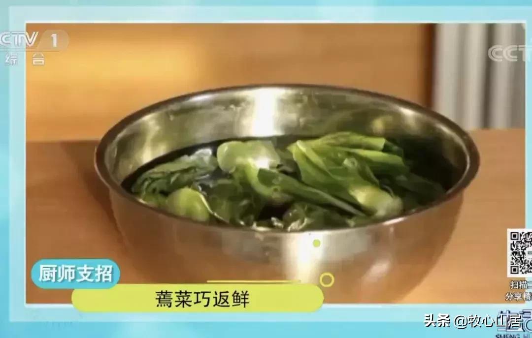 手作丨蔬菜蔫了怎么办？教你一招让蔬菜和新买的一样
