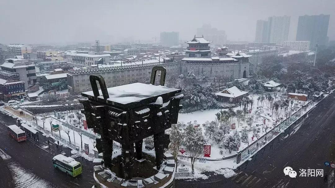 洛阳牡丹花会邀请,洛阳邀请全世界人民看牡丹