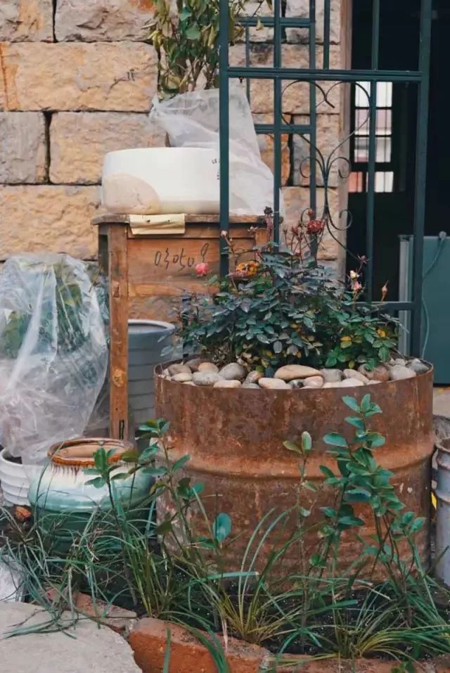 10000块能做点什么,10000块钱能做什么