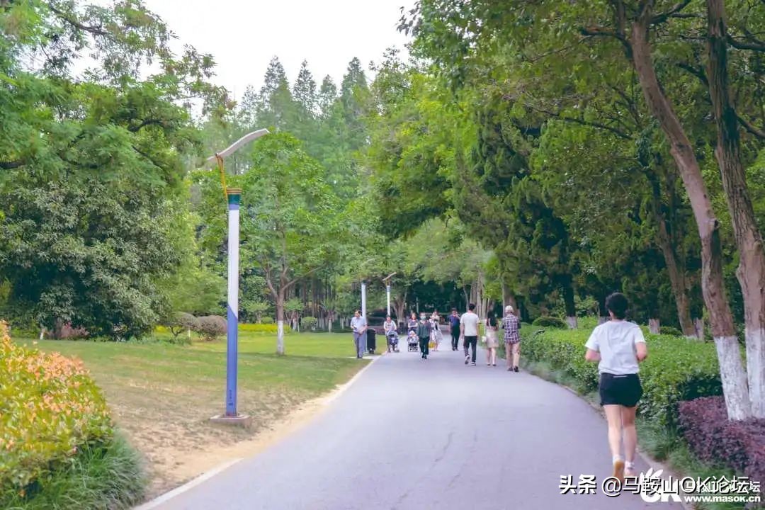 唰，就绿了！马鞍山夏天的n+1种样子