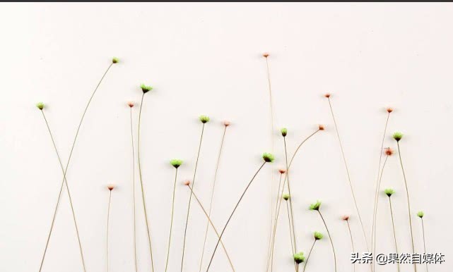 嗨!你真的了解自己吗?